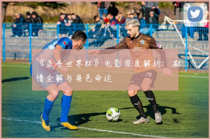 《杀手世界杯》电影深度解析：剧情全解与角色命运