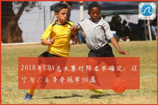 2018年CBA总决赛对阵名单确定，辽宁与广东争夺冠军归属