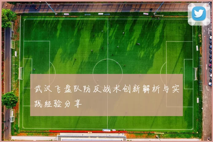 武汉飞盘队防反战术创新解析与实践经验分享