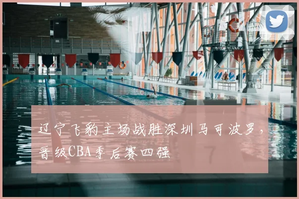 辽宁飞豹主场战胜深圳马可波罗，晋级CBA季后赛四强