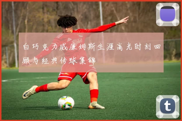 白巧克力威廉姆斯生涯高光时刻回顾与经典传球集锦