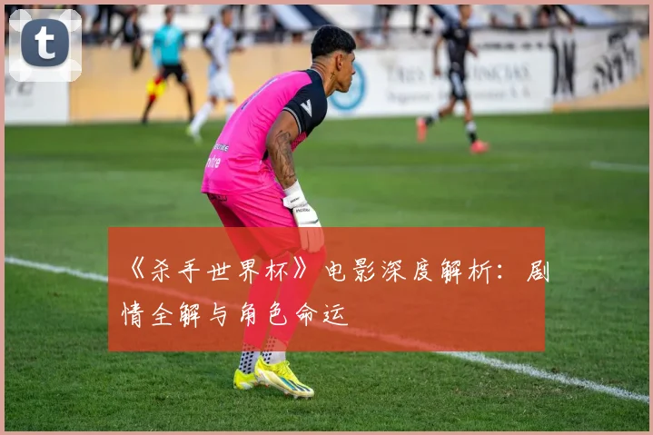 《杀手世界杯》电影深度解析：剧情全解与角色命运