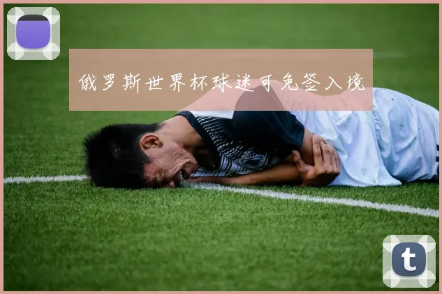 俄罗斯世界杯球迷可免签入境