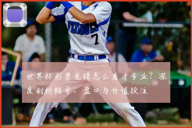 世界杯彩票竞猜怎么看才专业?深度剖析赔率、盘口与价值投注