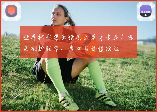 世界杯彩票竞猜怎么看才专业?深度剖析赔率、盘口与价值投注