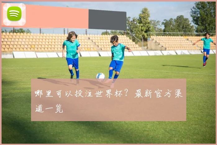 哪里可以投注世界杯？最新官方渠道一览