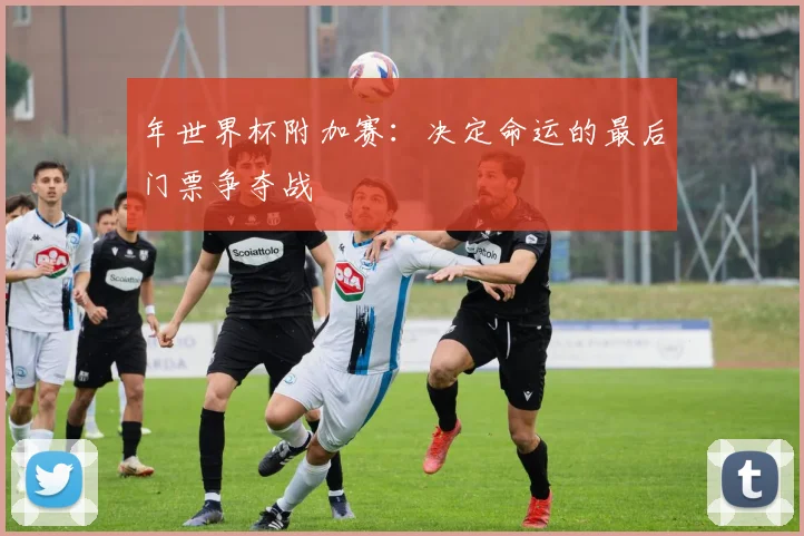 年世界杯附加赛:决定命运的最后门票争夺战