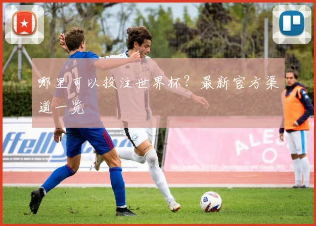 哪里可以投注世界杯？最新官方渠道一览